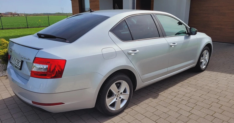 Skoda Octavia cena 59650 przebieg: 125500, rok produkcji 2019 z Koło małe 781